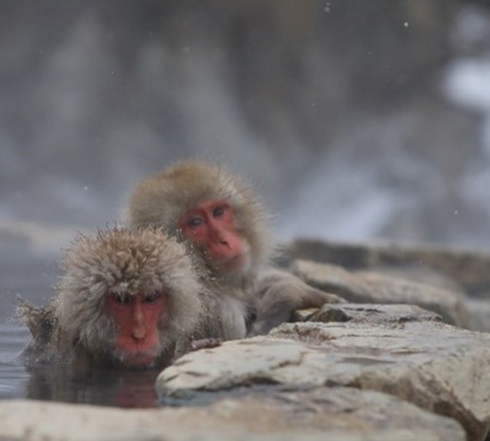 長野県山ノ内町の画像