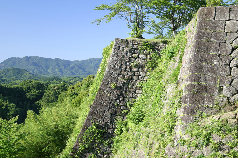 国指定史跡 岡城跡の画像