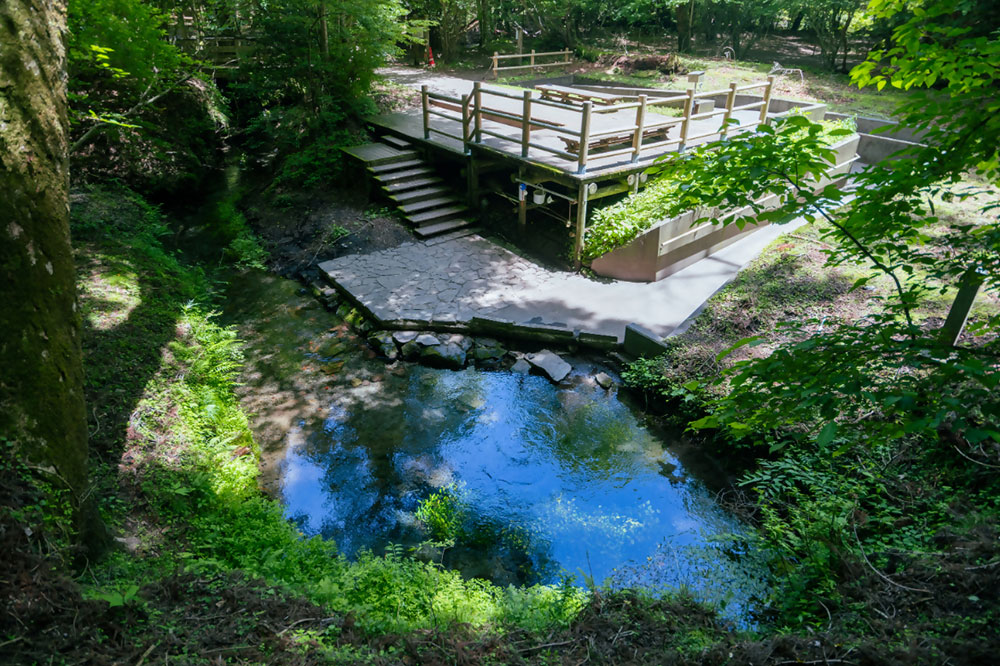 男池の画像
